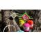 Easter Holiday Craft: Introducing Kids to DIY Yarn Mandalas with Nature Sticks
