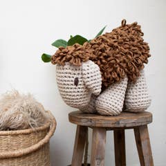 DIY Crochet Kit Sheep Robby