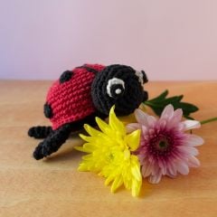 DIY Haakpakket Lieveheersbeestje Daisy