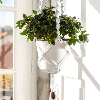 DIY Kit Zpagetti Macram&eacute; Hanging Basket Cotton White