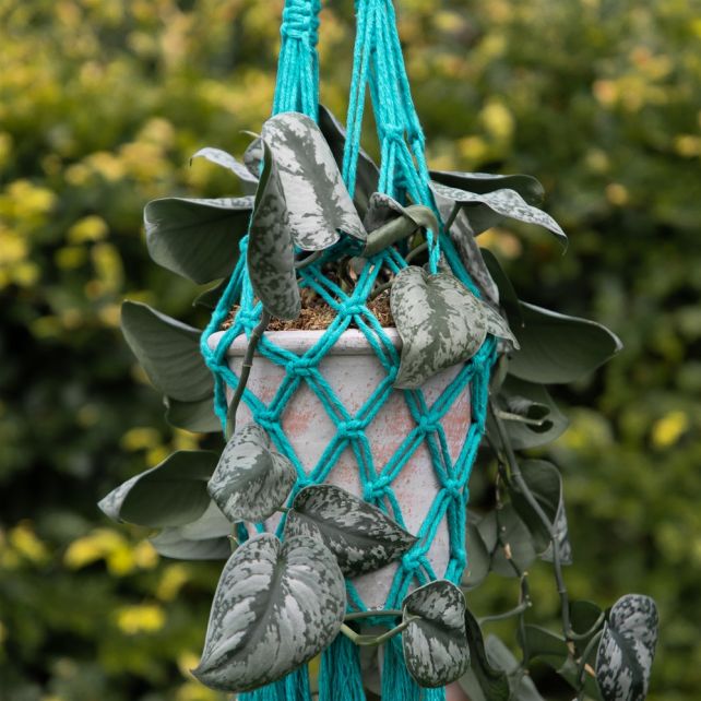 DIY Macramé Pattern Net Bag Modena