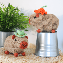 DIY Crochet Kit Capybaras Carlos & Carlotta