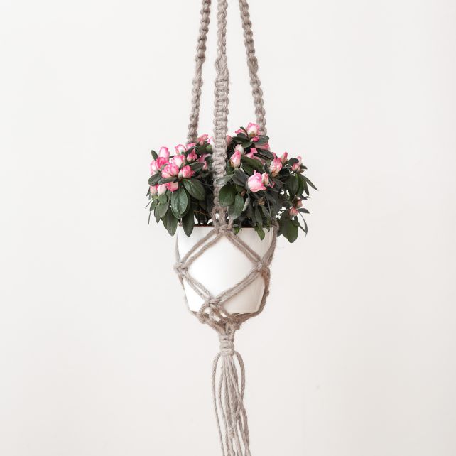 DIY Makramee-Anleitung Jute Blumenampel