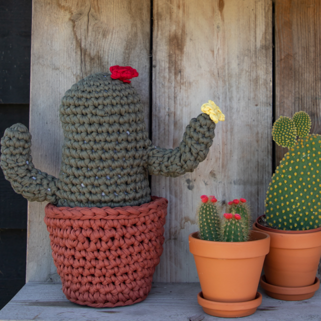 DIY Patron De Crochet Gratuit Cactus Zpagetti
